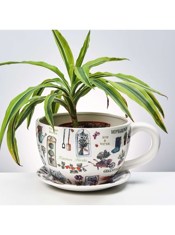 Butlers Pflanztasse PLANT A CUP Gartenkräuter in Multicolor