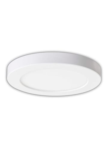 näve LED Deckenleuchte "BONUS" in weiß - (L)17 cm x (B)17 cm x (H)1.9 cm - EEK F