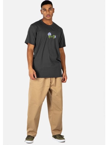 Reell T-Shirt "Botany T-Shirt" in Grau