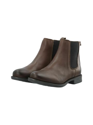 Cashott Stiefeletten CASEMMA in Brown