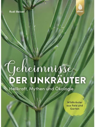 Ulmer Geheimnisse der Unkräuter