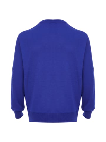 ALEKO Herren Pullover in Blau