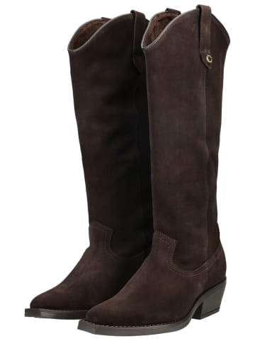Steve Madden Stiefel WIRAYA Braun