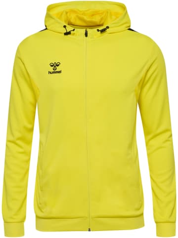 Hummel Hummel Hoodie Hmlauthentic Multisport Herren Atmungsaktiv in BLAZING YELLOW