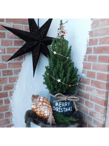 NatureNest Weihnachtsbaum mit Beleuchtung Starlight in Xmas Bag blau