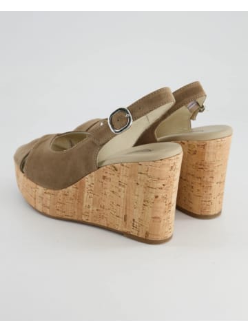 Nero Giardini Wedges in Grau