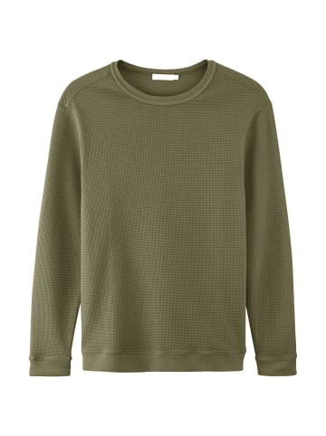 Hessnatur Waffelpiqué-Pullover in oliv