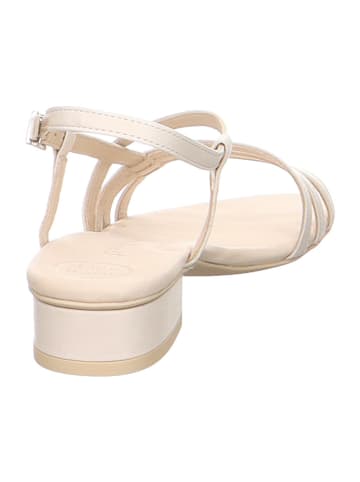Paul Green Komfort Sandalen für Damen in beige