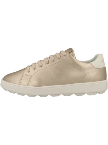 Geox Sneaker low D Spherica Ecub-1 A in gold