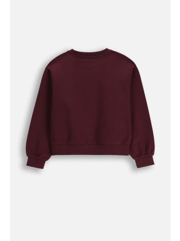Coccodrillo Sweatshirt in braun