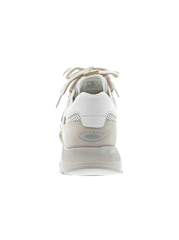 Gabor sportlicher Schnürer Beige