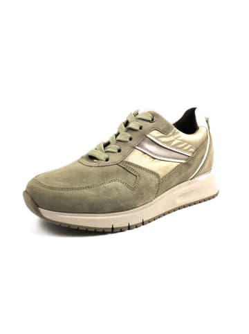 Gabor Sneaker in grün