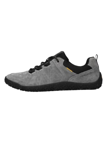 Camel Active Sneaker in Grau