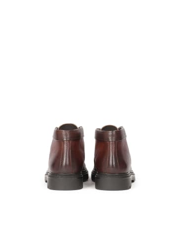 Kazar Chelsea Boots in Braun