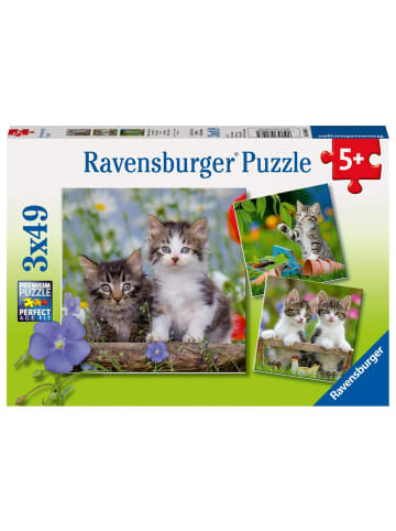 Ravensburger Süße Samtpfötchen - Puzzle 3 x 49 Teile