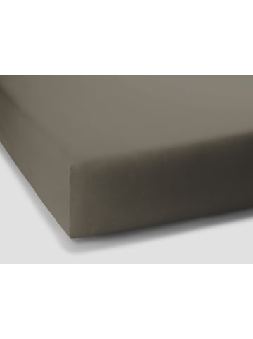 Formesse Spannbettlaken Bella Donna Jersey in Muskat