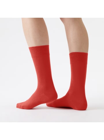 von Jungfeld Classic Socken Rot SET in Rot