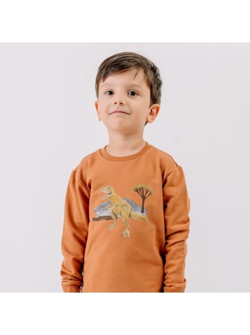 Walkiddy Sweatshirt Dinasaur World-Sweatshirt