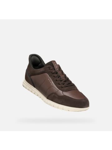 Geox Schuhe U in bunt