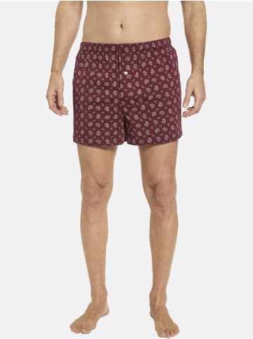 BABISTA 3er Pack Boxershorts LUNETTO in dunkelblau rot beige