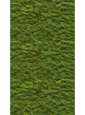 A.S. Création Tapete The Wall 3 Green Wall Grün
