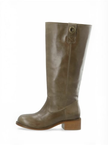 Cashott Stiefel CASVILMA in Taupe