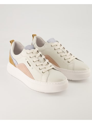 Nero Giardini Sneaker in Beige