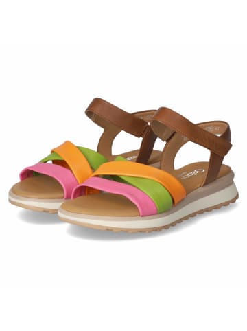 Gabor Sandalette in multicolored