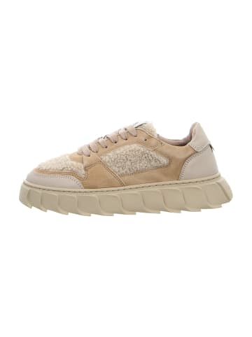Apple of Eden Sneaker Low in Beige
