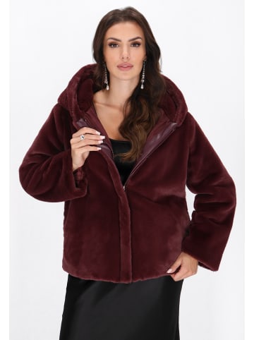 faina Women Jacket in burgundy