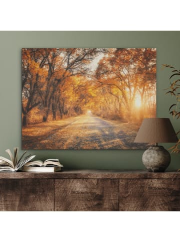 OnlyWow Akustibild Waldweg