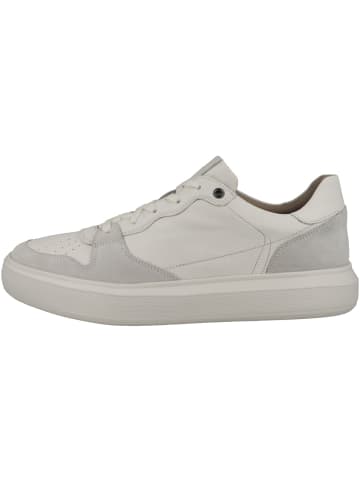 Geox Sneaker low U Deiven B in weiss