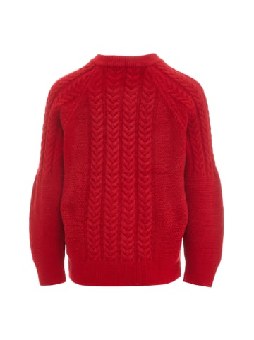 NALLY Strickpullover in Rot