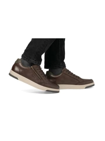 rieker Schnürschuh in braun