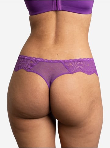 SugarShape String Voilà in purple