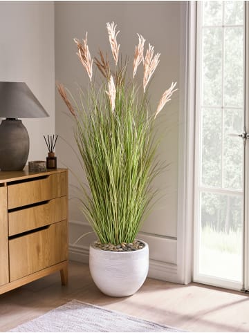 Beliani Kunstpflanze CLAW FLOWER in Grün/Braun/Schwarz - (W) 60 x (H) 150 x (L) 60 cm