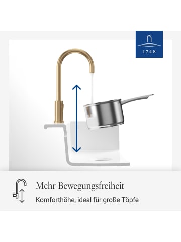 Villeroy & Boch Küchenarmatur Umbrella in 27,5 cm in gold
