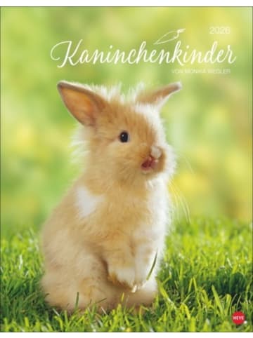 Heye Kalender Kalender - Kaninchenkinder Posterkalender 2026