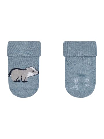 Sterntaler Baby Socken 3er-Pack Dachs in helles blau