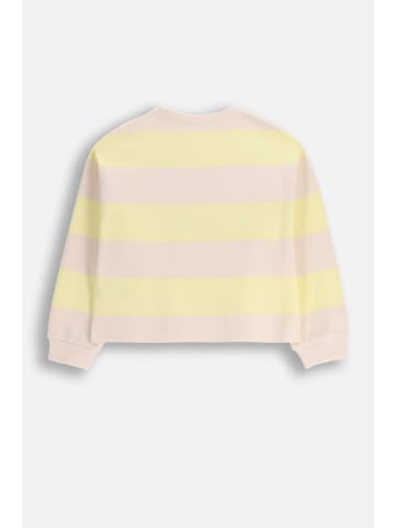 Coccodrillo Gestreiftes Sweatshirt in gelb