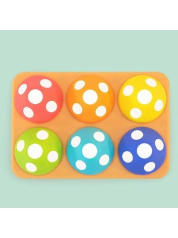 Sassy Lernspielzeug ab 1 Jahr mit 6 Pilzen - Farben, Zahlen & Emotionen lernen