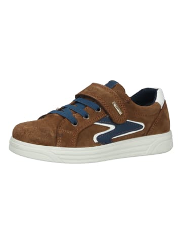 Primigi Sneaker in Braun/Blau