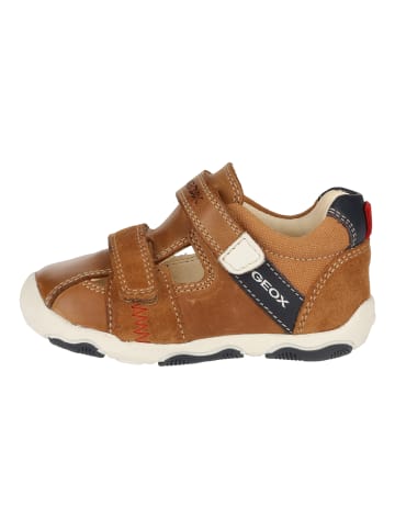 Geox Sneaker in Caramel