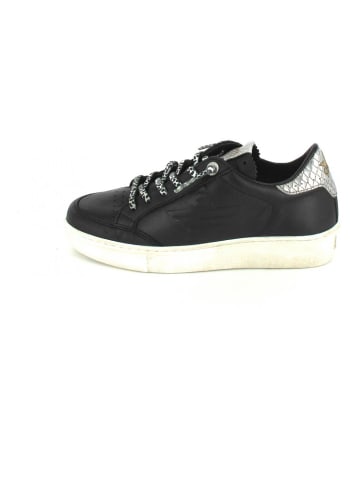 Cetti Sneaker in Sweet