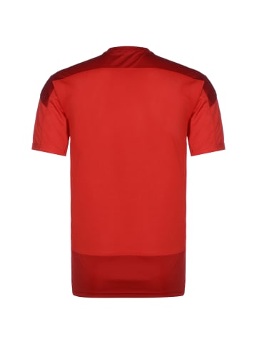 Puma Trainingsshirt teamGoal 23 in rot / dunkelrot