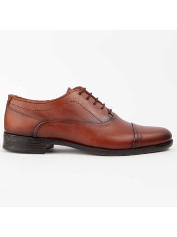 Purapiel Schnürschuhe Darius2 in Braun