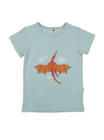 Walkiddy T-Shirt Blau in Blau
