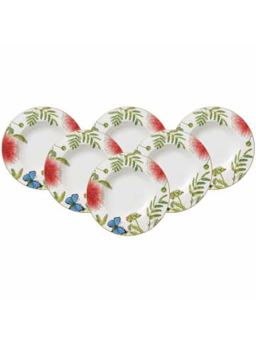 Villeroy & Boch 6er Set Suppenteller Amazonia Anmut in ø 24,6 cm in bunt