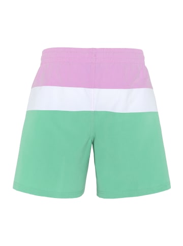 Chiemsee Badehose in Lila