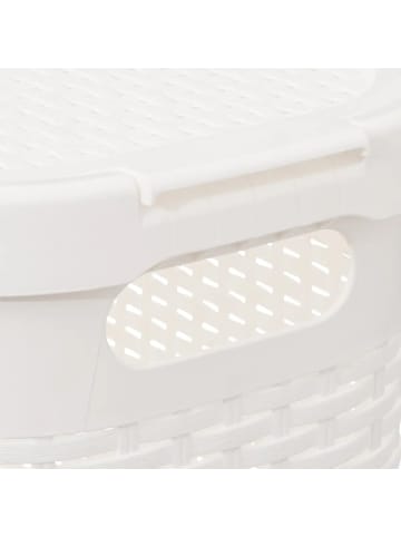 5five Simply Smart Wäschekorb aus Kunststoff, 40 l in Weiß, (B) 26,5 x (H) 60,5 x (L) 46,4 cm